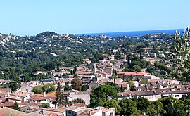 Loup de Loup