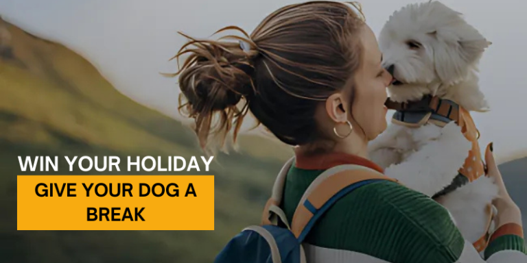 Give Your Dog a Break